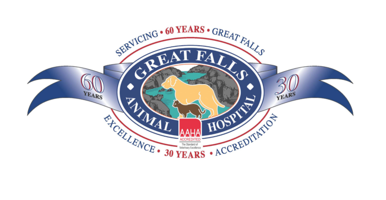 Great Falls Logo Anniversary