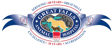 Great Falls Animal Hospital Favicon